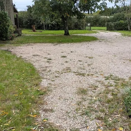 Independent In Nature