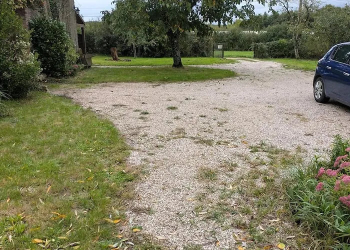 Independent In Nature